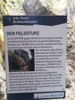Der Felssturz vom 1995 (Infotafel)