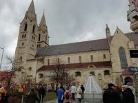 Der Dom von Wiener Neustadt 