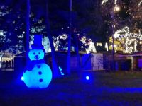 Wiener Christkindlmarkt 