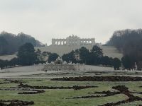Im Park von Schönbrunn 