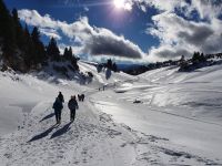 Winterwandern am Rofan