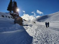 Winterwandern am Rofan