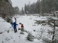 im Oberauflussbett unterwegs