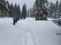 Pertisau, los gehts durch den tiefen Schnee