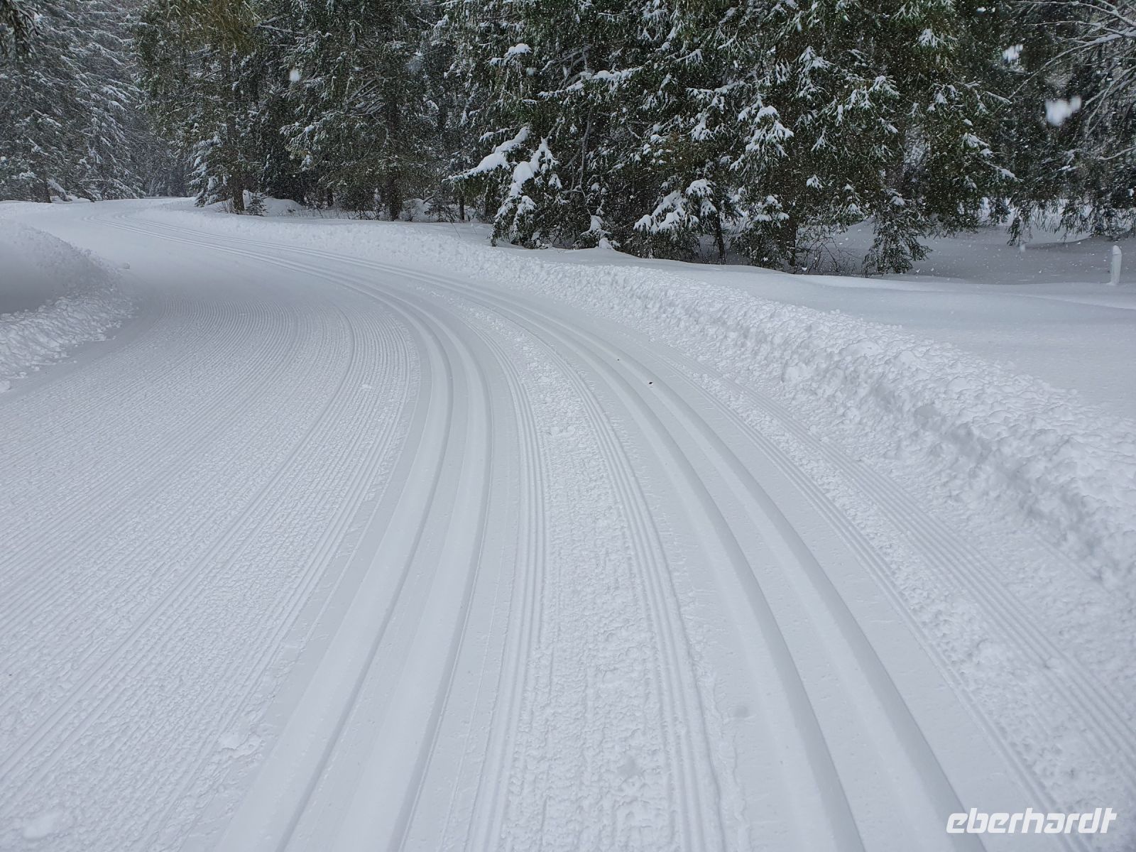 Loipen frisch gespurt