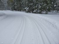 Loipen frisch gespurt