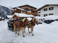 mit dem Pferdeschlitten durch Pertisau
