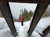 Hochwassersperre im Falzthurnbacbett
