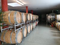 Maurach, Besichtigung der Edelbrennerei Kostenzer