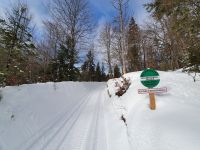 gesperrte Weg, um die Wildtiere zu schützen