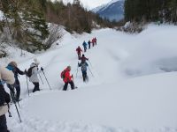 zurück durch das Pletzachtal