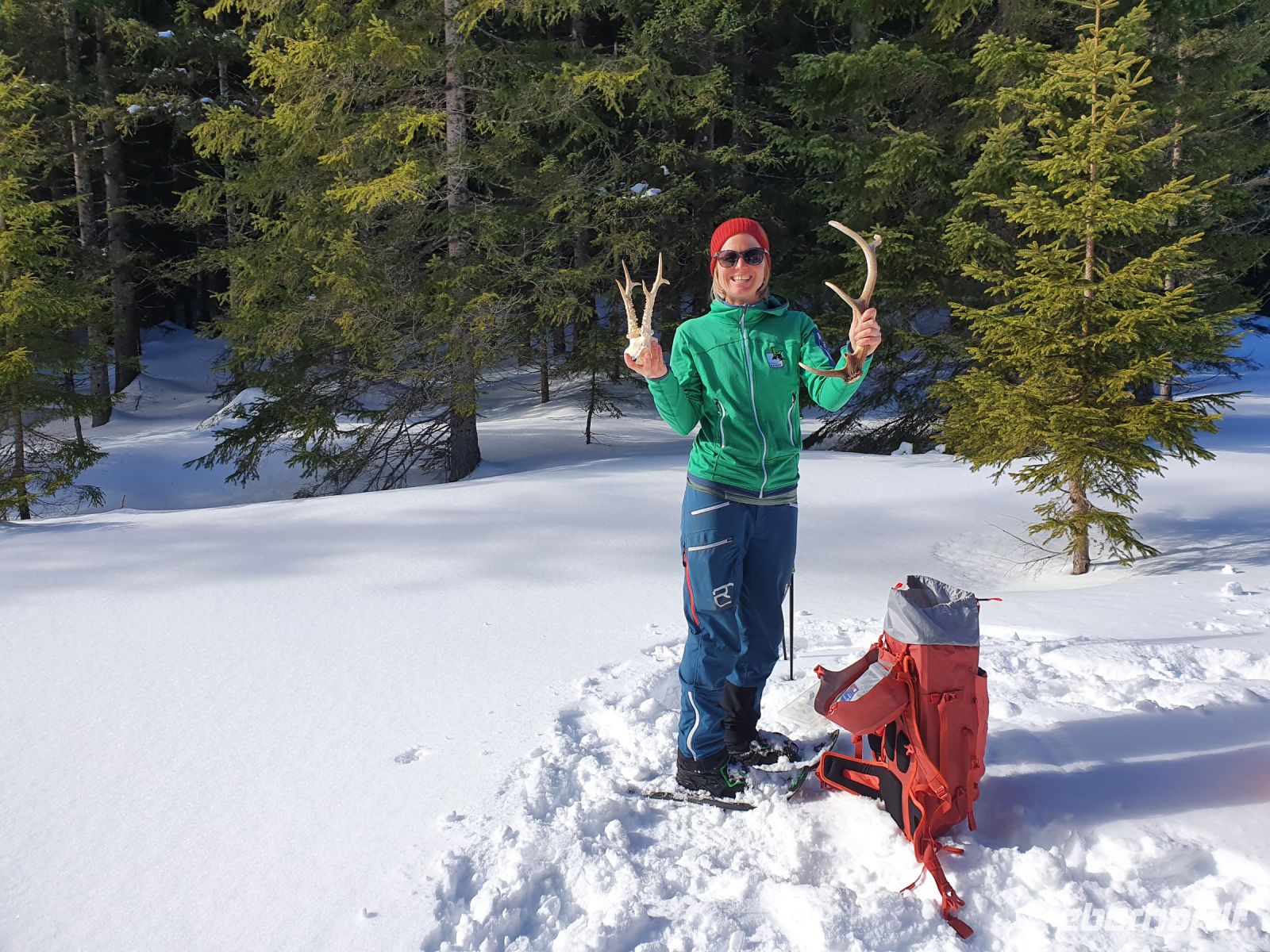 Rangerin Marina lehrt uns die Wildtiere