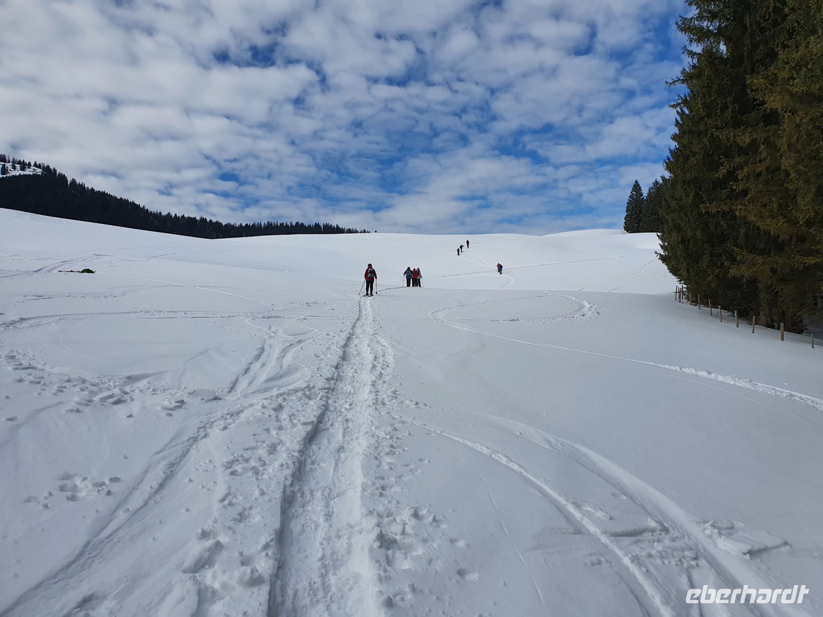 gesamt 430 Höhenmeter steigen wir hinauf zur Falkenmoosalm