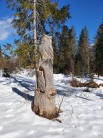 Achenkirch, Eulenfamilie