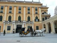 Schloss Schönbrunn 