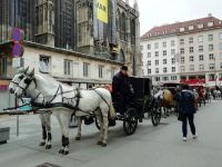 Einige Gäste fahren mit dem Fiaker durch Wien 