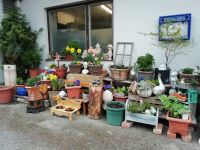 Alles ist liebevoll dekoriert 