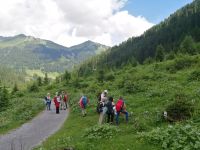 unzählige Pflanzen begeistern uns