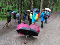 vor der Info-Tafel beim Abstieg ins Breitachbachtal