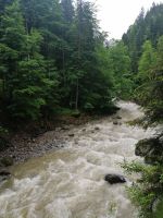 Der Breitachbach ist heute besonders laut