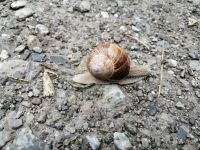 noch ein Wanderer unterwegs :-)