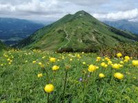 Blick Richtung Fellhorn