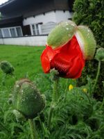 unser letzter Wandertag ist zu Ende....