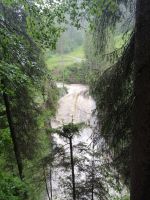 Wanderung im Schwarzwassertal