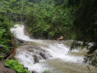 Der Schwarzwasserbach