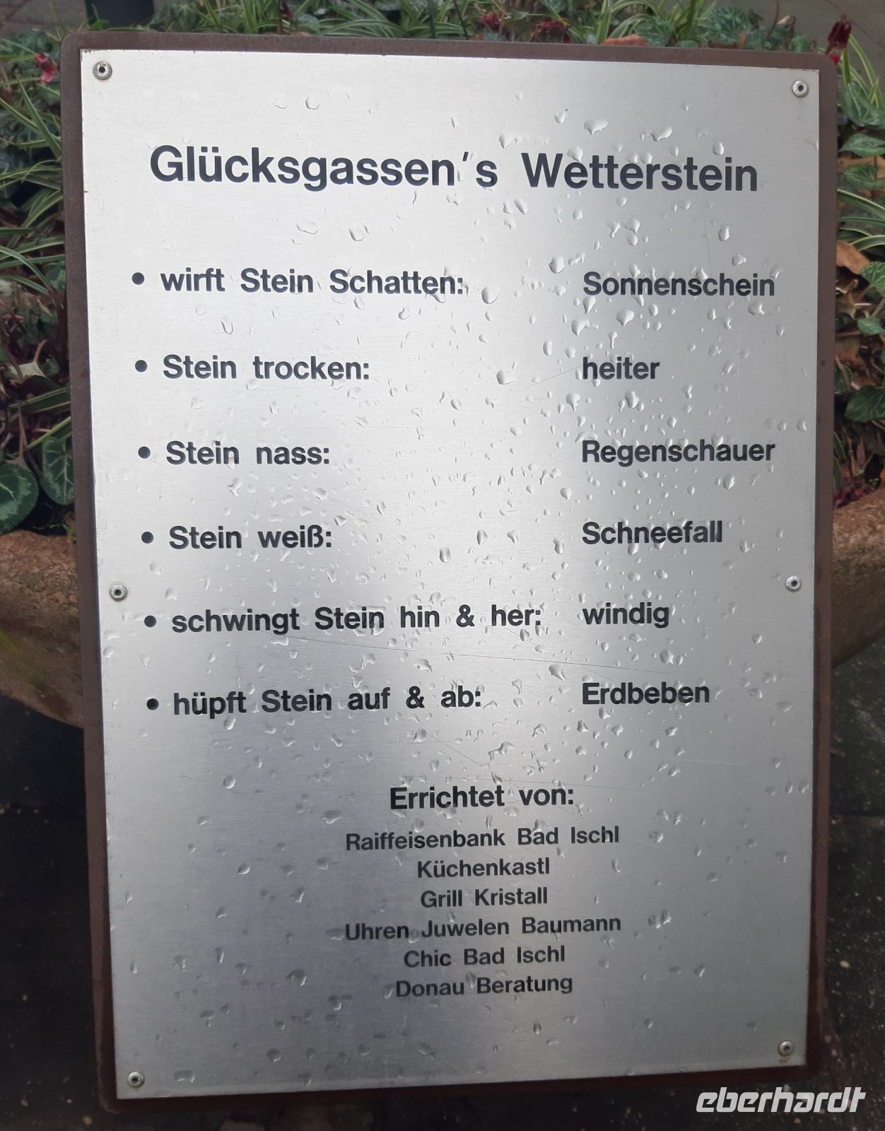 20240102_122557.jpg