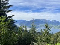 Auf dem Weg zum Laudachsee