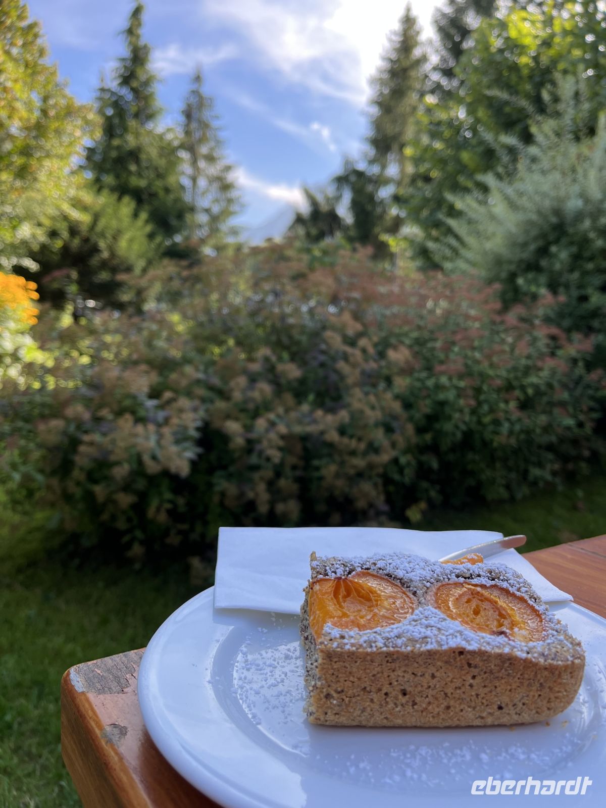Marillenkuchen muss sein!