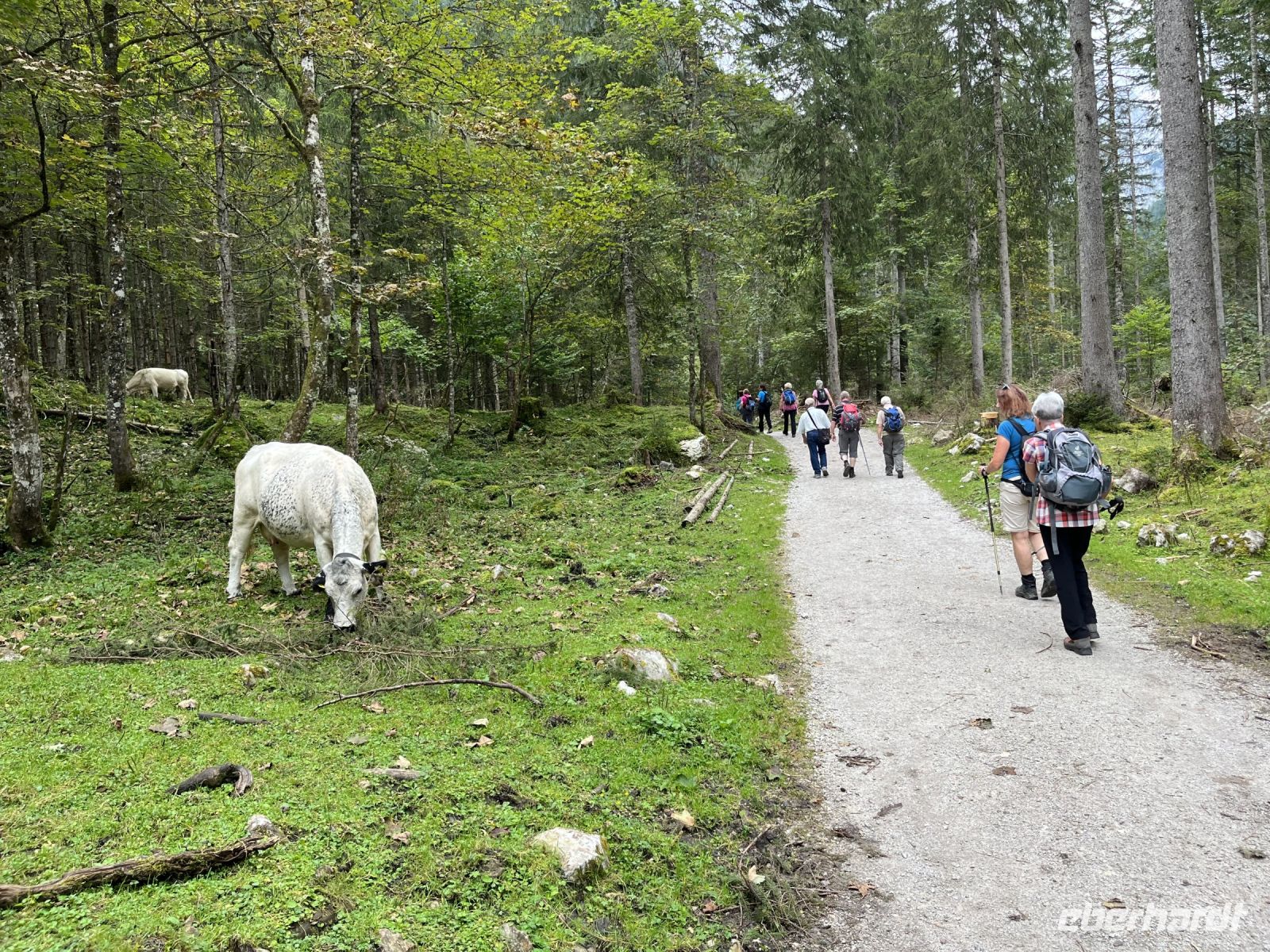 Wanderung zum Hinteren Gosausee