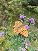 Wanderung zum Hinteren Gosausee