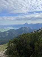 Eine schöner wie die andere