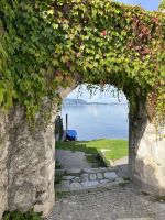 Zu Besuch in Traunkrichen