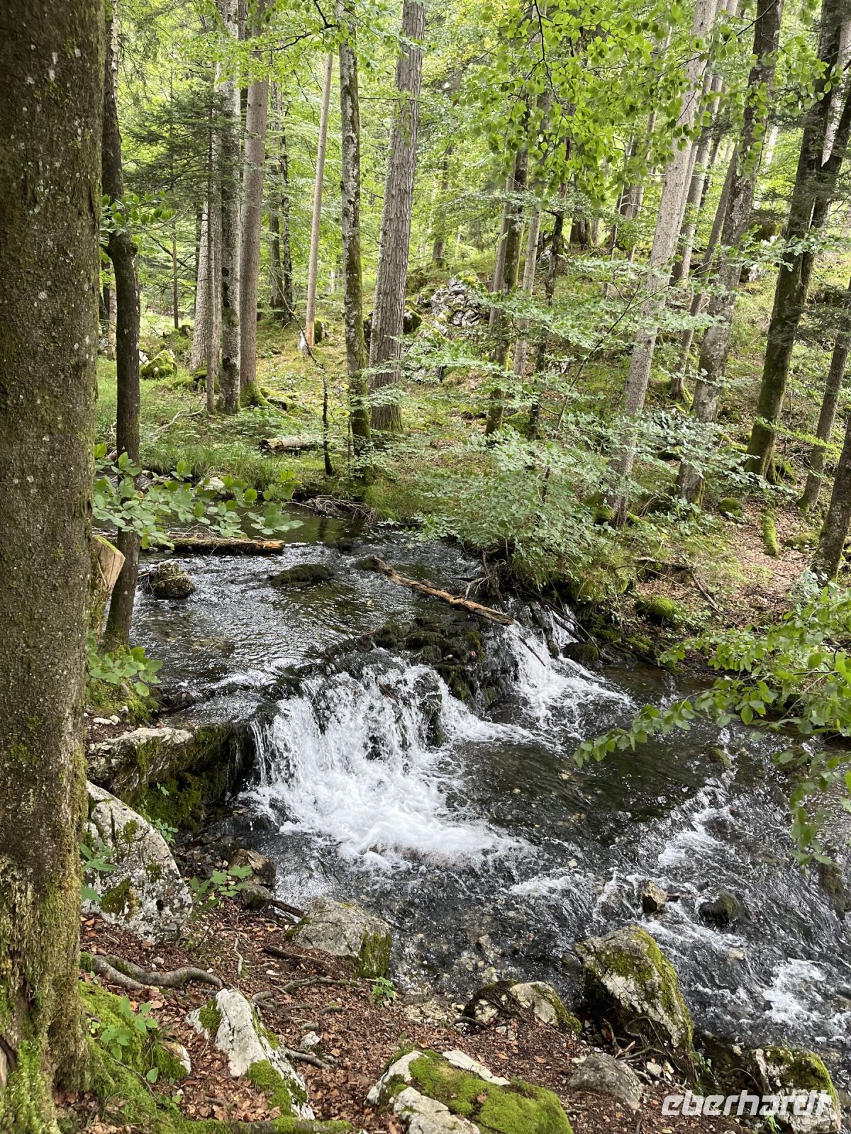 Wanderung zum Hinteren Langbathsee