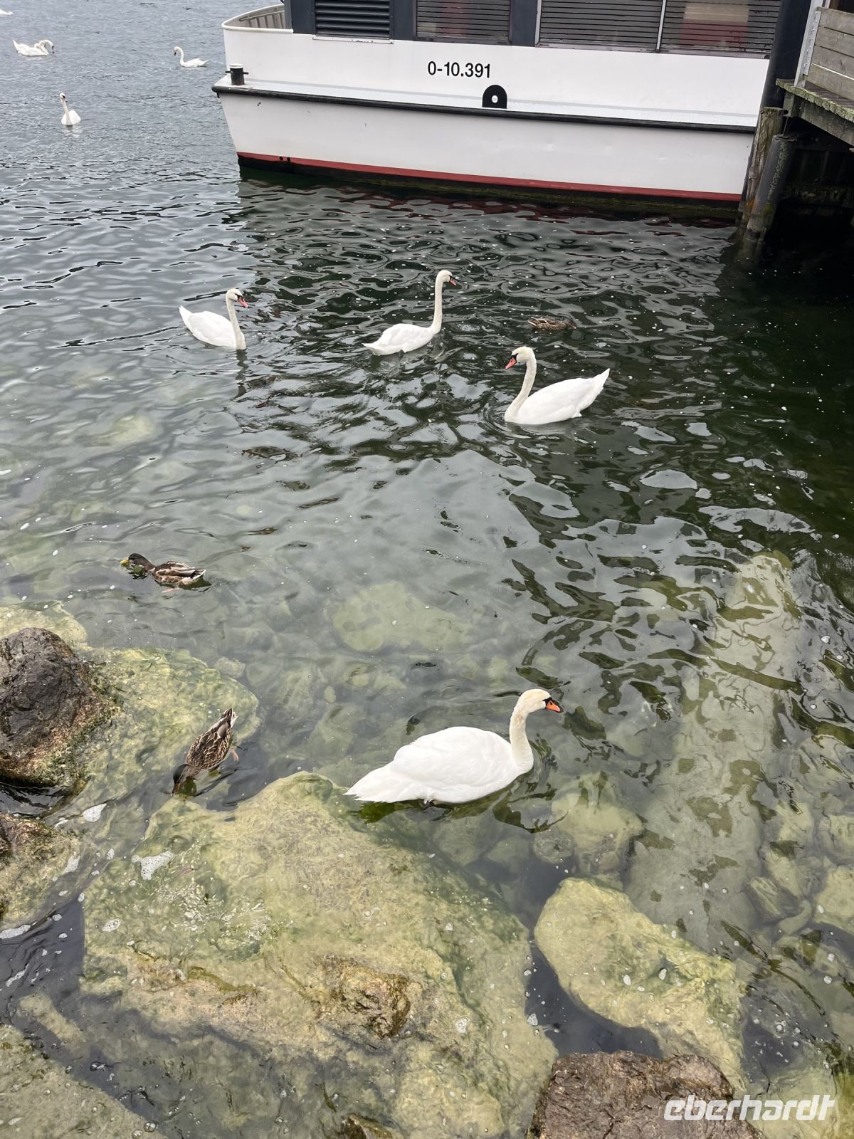 Schifffahrt auf dem Traunsee
