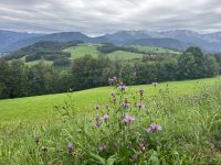Wanderung zum Gmundnerberg