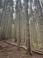 Wanderung zum Gmundnerberg