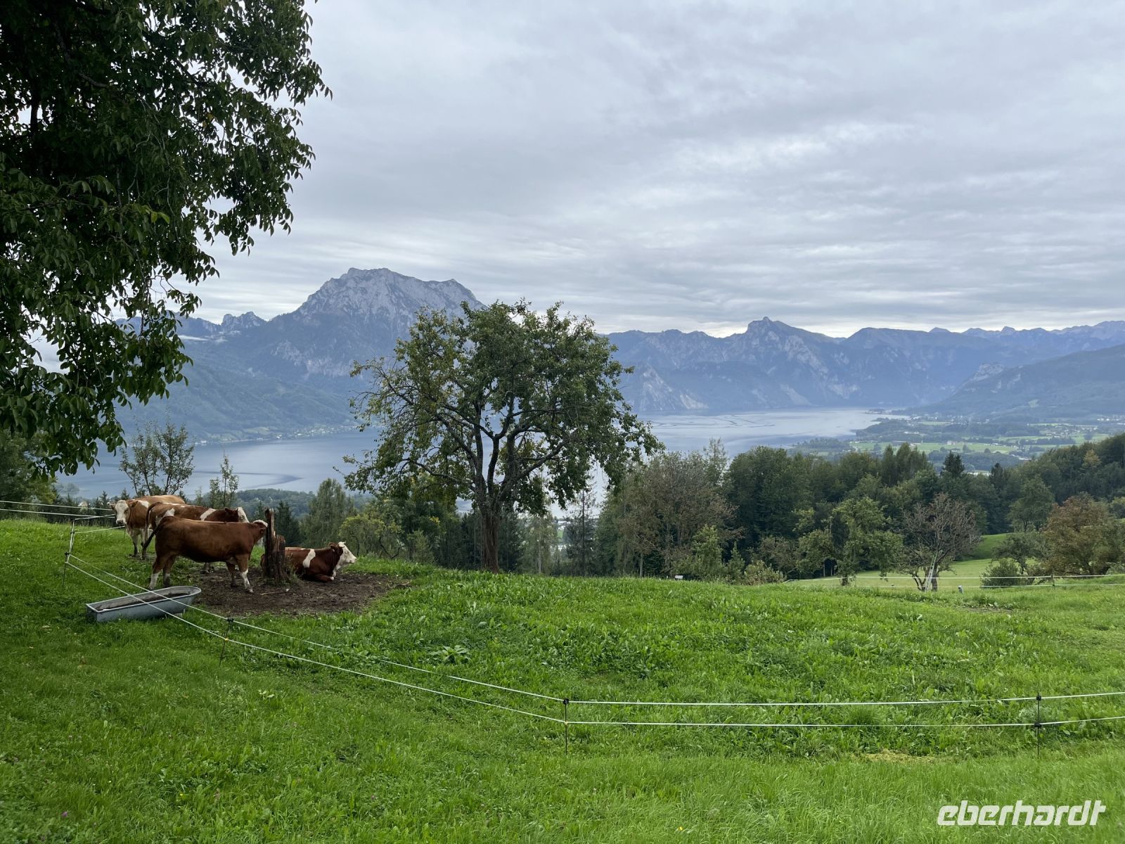 Blick vom Gmunderberg auf den Traunstein
