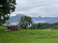Blick vom Gmunderberg auf den Traunstein