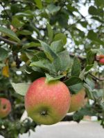 Angekommen in Pinsdorf