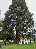Zu Besuch am Schloss Ort