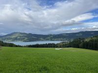 Blick zum Attersee