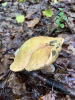 Wanderung zum Nixenfall