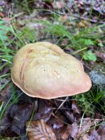 Wanderung zum Nixenfall