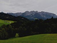 Tag 2: Saftige Wiesen vorm Zahmen Kaiser