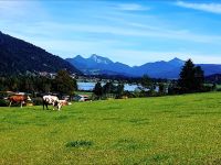 Tag 6: Schußfahrt zum Walchsee