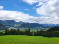 Blick auf den Walchsee.jpg